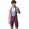 ALÉ Cycling Clothing Alé R-EV1 GO bibshort, Prune Veľkosť: XXL Štýlové cyklistické nohavice s trakmi, teraz v rôznych farbách ALÉ Cycling Clothing Alé R-EV1 GO bibshort, Prune Veľkosť: XXL Štýlové cyklistické nohavice s trakmi, teraz v rôznych farbách