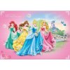 Fototapeta na stenu - FT0767 - Walt Disney princezny 152cm x 104cm - Vliesová fototapeta Fototapeta na stenu - FT0767 - Walt Disney princezny 152cm x 104cm - Vliesová fototapeta