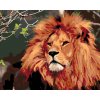 Vymalujsisam.sk Maľovanie podľa čísiel - Lev Veľkosť: 40x50cm, Rám: Bez rámu, iba zrolované plátno Vymalujsisam.sk Maľovanie podľa čísiel - Lev Veľkosť: 40x50cm, Rám: Bez rámu, iba zrolované plátno