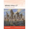 Sinai 1916-17 Sinai 1916-17