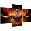 Obraz muža v ohni (Obraz 90x60cm) Obraz muža v ohni (Obraz 90x60cm)