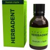 Herbadent Original bylinný roztok 25 ml Herbadent Original bylinný roztok 25 ml