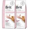 Brit Veterinary Diets GF dog Hypoallergenic 2 x 12 kg