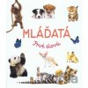 Mláďatá - Svojtka&Co. Mláďatá - Svojtka&Co.