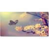 Foto-obraz fotografie na skle Kvet Visty a motýľ 100x50 cm Foto-obraz fotografie na skle Kvet Visty a motýľ 100x50 cm