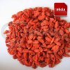 Goji Kustovnica čínska 500g Goji Kustovnica čínska 500g