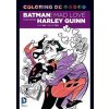 MAD LOVE COLORING BOOK - Paul Dini, Bruce Timm, DC Comics MAD LOVE COLORING BOOK - Paul Dini, Bruce Timm, DC Comics
