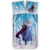 Carbotex obliečky Ľadové Kráľovstvo Princezné na Korčuliach 4498 40x60 cm 100x135 cm Carbotex obliečky Ľadové Kráľovstvo Princezné na Korčuliach 4498 40x60 cm 100x135 cm