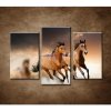 Hnedé kone - 3dielny 75x50cm Hnedé kone - 3dielny 75x50cm