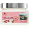Sea of Spa Essential Dead Sea Treatment telové maslo s kokosom 350 ml Sea of Spa Essential Dead Sea Treatment telové maslo s kokosom 350 ml