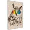 Vertikálny foto obraz akrylové sklo Sovy v okuliaroch 50x100 cm Vertikálny foto obraz akrylové sklo Sovy v okuliaroch 50x100 cm