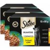 Sheba Delikatesse Kapsička hydinový výber v želé 3 x (12 x 85g) Sheba Delikatesse Kapsička hydinový výber v želé 3 x (12 x 85g)