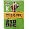 FORTE Náplast ulevující od bolesti 12 x 18 cm 1 ks FORTE Náplast ulevující od bolesti 12 x 18 cm 1 ks