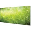 Sklenený obklad do kuchyne Tráva kvapky rosy 100x50 cm Sklenený obklad do kuchyne Tráva kvapky rosy 100x50 cm