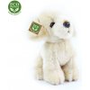 Rappa Plyšový pes labrador 18 cm ECO-FRIENDLY Rappa Plyšový pes labrador 18 cm ECO-FRIENDLY