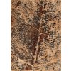 Kusový koberec Paulus copper 80 x 120 cm Kusový koberec Paulus copper 80 x 120 cm