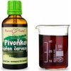 Bylinné kapky Pivonka bielokvetá koreň červený (TCM) - bylinné kvapky (tinktúra) 50 ml Bylinné kapky Pivonka bielokvetá koreň červený (TCM) - bylinné kvapky (tinktúra) 50 ml