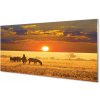Nástenný panel Zebra západ mraky 100x50 cm Nástenný panel Zebra západ mraky 100x50 cm