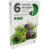 Admit Tea Lights Pine 6 ks Admit Tea Lights Pine 6 ks
