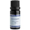 Nobilis Tilia éterický olej BIO rozmarín, cineol 10 ml