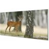 Nástenný panel jeleň lesný 100x50 cm Nástenný panel jeleň lesný 100x50 cm