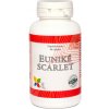 Queen Euniké Euniké Scarlet (90 tobolek) Queen Euniké Euniké Scarlet (90 tobolek)