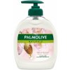 Palmolive Naturals Nourishing Almond Milk tekuté mydlo s dávkovačem 300 ml Palmolive Naturals Nourishing Almond Milk tekuté mydlo s dávkovačem 300 ml