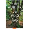 Ze života buků - Peter Wohlleben Ze života buků - Peter Wohlleben