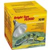 Lucky Reptile Bright Sun Flood Desert 70 W
