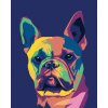 ZUTY Maľovanie podľa čísel POP ART BULDOČEK Rámovanie bez rámu a bez vypnutia plátna Rozmer 80 x 100 cm