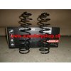 Seat IBIZA, 9/99-5/02 zadné pružiny Sada L+P Seat IBIZA, 9/99-5/02 zadné pružiny Sada L+P