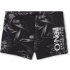 Detské Plavecké boxerky O'NEILL MIX & MATCH CALI FIRST 13'' SWIM SHORTSCRAZY 8'' RACER 4800074-39090 – Čierna Detské Plavecké boxerky O'NEILL MIX & MATCH CALI FIRST 13'' SWIM SHORTSCRAZY 8'' RACER 4800074-39090 – Čierna