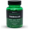 Kralovstvizdravi.cz Kráľovsky Tribulus 90% Kotvičník 60 kapsúl Kralovstvizdravi.cz Kráľovsky Tribulus 90% Kotvičník 60 kapsúl