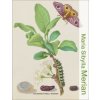 Maria Sibylla Merian (Powell-Warren,Catherine)(Pevná) Maria Sibylla Merian (Powell-Warren,Catherine)(Pevná)