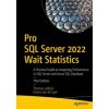 Pro SQL Server 2022 Wait Statistics (Thomas LaRock,Enrico van de Laar)(Brožovaná) Pro SQL Server 2022 Wait Statistics (Thomas LaRock,Enrico van de Laar)(Brožovaná)