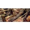 ATG pozadie Kořeny 80 x 40 cm