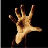 System Of A Down: System Of A Down LP - System Of A Down System Of A Down: System Of A Down LP - System Of A Down