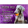 Pozorpes.sk, výstražná tabuľka (Weimarský stavač) Pozorpes.sk, výstražná tabuľka (Weimarský stavač)