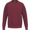 Erima TS Sweatshirt 2072583 newbordeaux