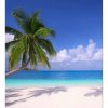 DIMEX fototapeta Pláž MS-3-0194 - 225 x 250 cm (150g VLIES - LEPIDLO ZADARMO) DIMEX fototapeta Pláž MS-3-0194 - 225 x 250 cm (150g VLIES - LEPIDLO ZADARMO)