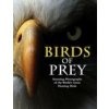 Birds of Prey (Tom Jackson)(Pevná) Birds of Prey (Tom Jackson)(Pevná)