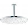 Hansgrohe Raindance 27337400