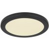 GLOBO 12379-24B LASSE stropné svietidlo LED D298mm 24W/1900lm 3000-4000-6500K čierna, opál GLOBO 12379-24B LASSE stropné svietidlo LED D298mm 24W/1900lm 3000-4000-6500K čierna, opál
