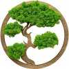 Machový obraz Bonsai 40cm Palisander Machový obraz Bonsai 40cm Palisander