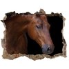 Díra 3D fototapeta na stěnu Hnedý kôň 95x64 cm Díra 3D fototapeta na stěnu Hnedý kôň 95x64 cm