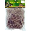 Lucky Reptile Spanish Moss 50 g Lucky Reptile Spanish Moss 50 g