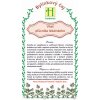 Agrokarpaty Pľúcnik lekársky 30 g Agrokarpaty Pľúcnik lekársky 30 g