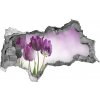 Samolepiaca diera nálepka Filé tulipány 95x73 cm Samolepiaca diera nálepka Filé tulipány 95x73 cm