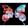 Zuty – Maľovanie Podľa Čísel – Motýľ Ako 2 Ľudské Tváre, 40 × 50 cm, Plátno + Rám 8596530191131 Zuty – Maľovanie Podľa Čísel – Motýľ Ako 2 Ľudské Tváre, 40 × 50 cm, Plátno + Rám 8596530191131