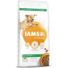 IAMS Dog Adult Large Lamb granule pre psov 12 kg IAMS Dog Adult Large Lamb granule pre psov 12 kg